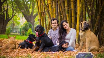 get rid of your dogs