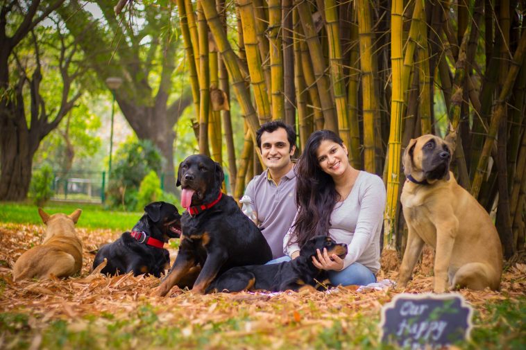 get rid of your dogs