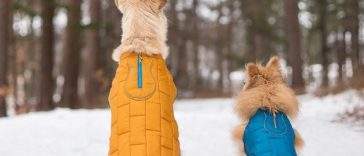 Best Dog Coats