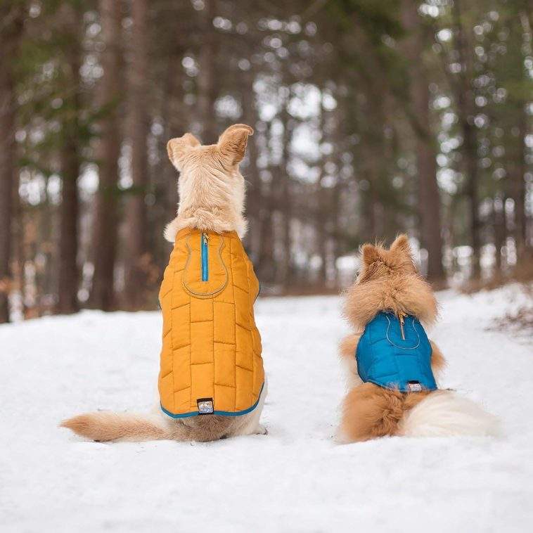 Best Dog Coats