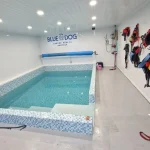 Canine hydrotherapy pool at Blue Dog Therapy in Norwich