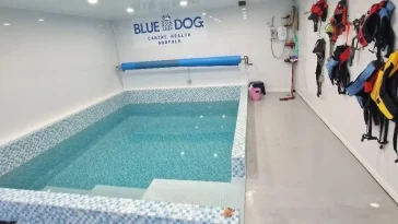 Canine hydrotherapy pool at Blue Dog Therapy in Norwich