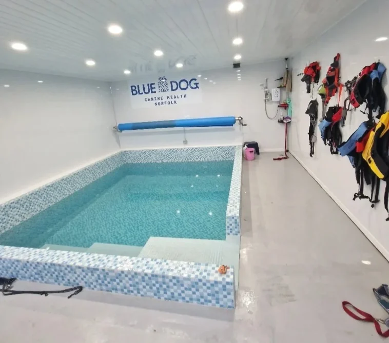 Canine hydrotherapy pool at Blue Dog Therapy in Norwich