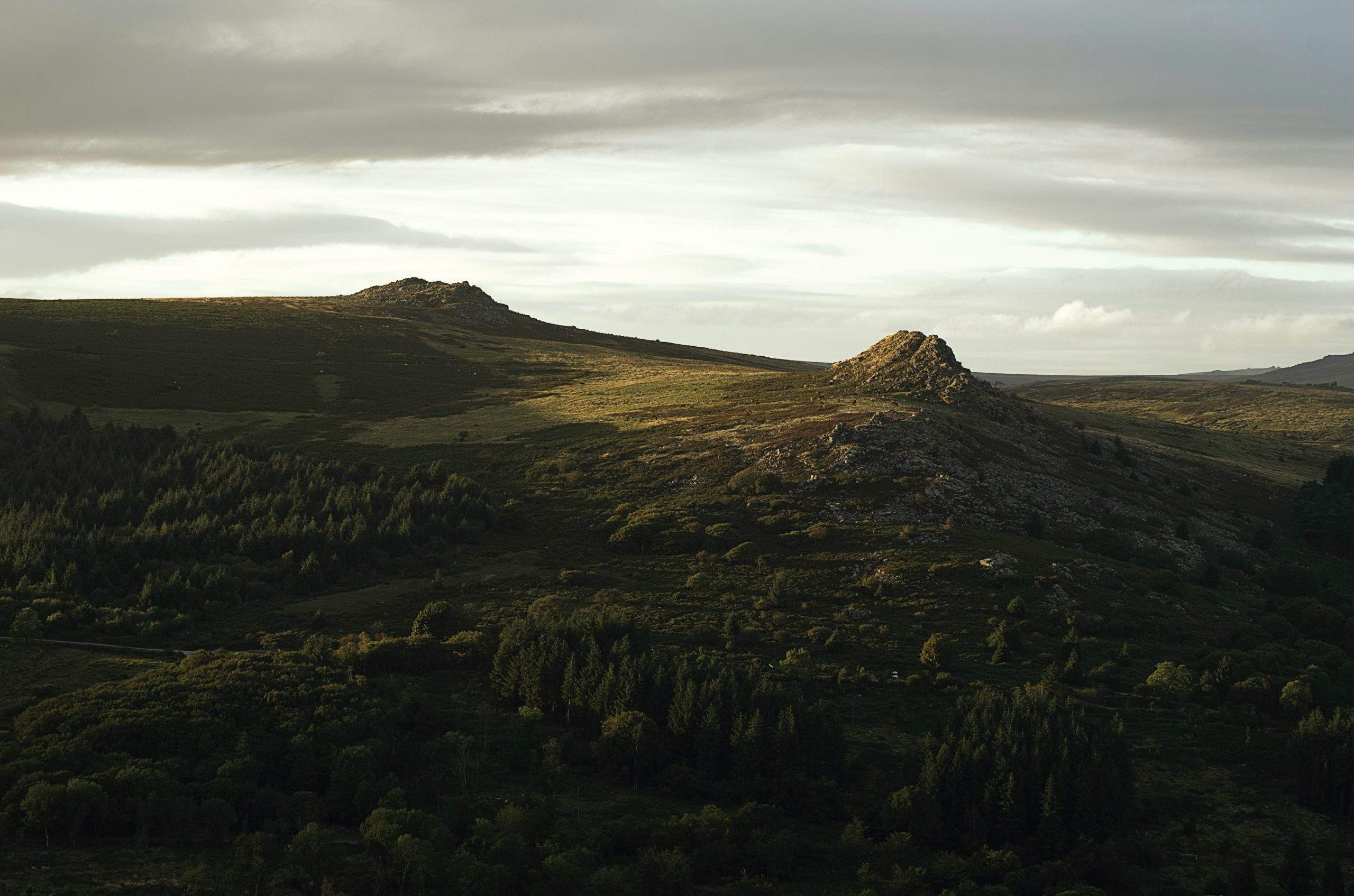 View from Sheepstor on Dartmoor overlooking Burrator reservoir, Devon