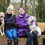 Doggy Paddle Norwich