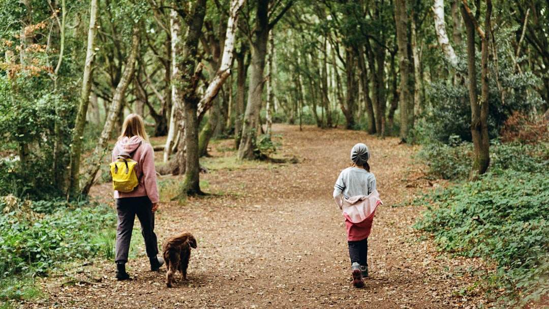 Family walking a dog on a forest path