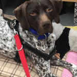 mickey and paul o'grady