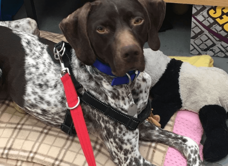 mickey and paul o'grady