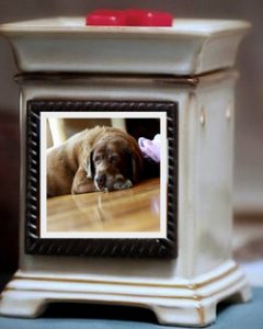 scentsy-dog-warmer Scentsy Dog Warmer