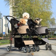 Dog Prams: The Best Dog Pushchairs for 2020 : Dogly