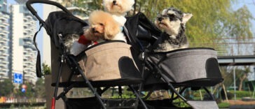 dog prams