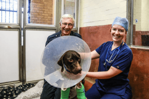 mickey and paul o'grady mickey paul o'grady