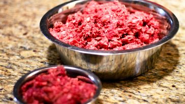 raw dog food